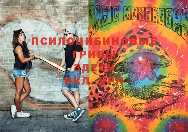 omg ссылка  Ишимбай  Галлюциногенные грибы Cubensis 